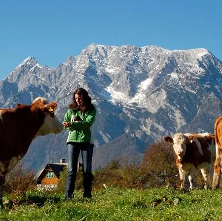 Apartmán Grubbauernhof Aigen im Ennstal