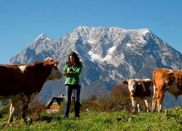 Appartement Grubbauernhof Aigen im Ennstal